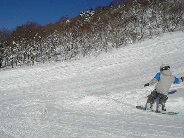 スキー場で楽しむ冬の素晴らしさ