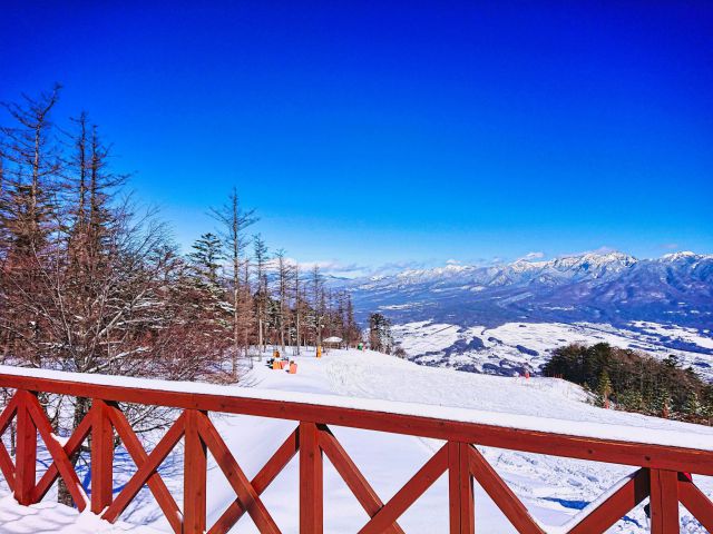 スノボを楽しむ雪山の魅力と仲間との絆